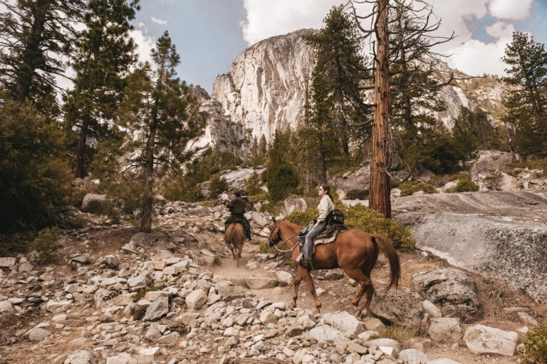Horses are led through the mountains at King's Canyon National Park