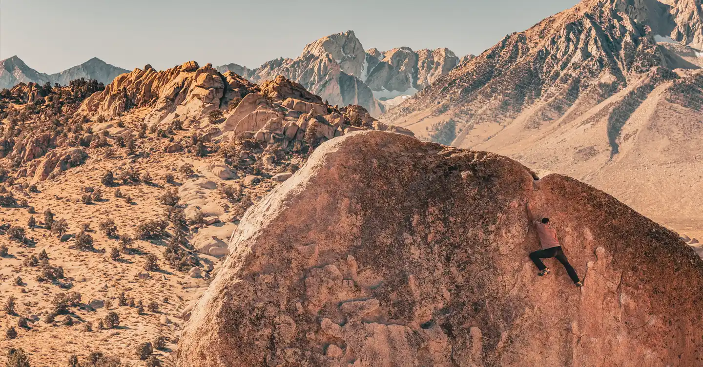 banner activities winnedumah